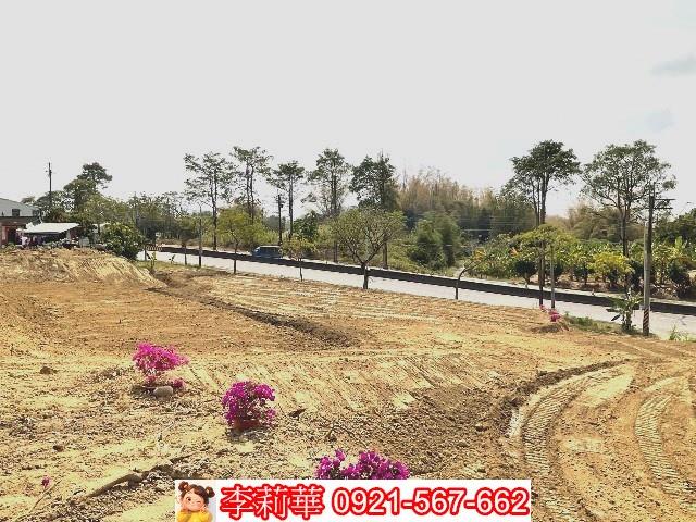 左鎮農地-5