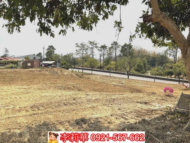 左鎮農地-6