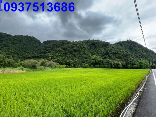 員山農地-9