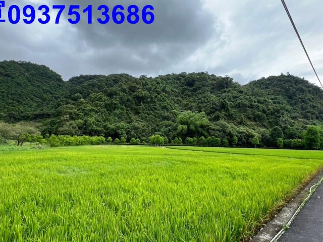 員山農地-7