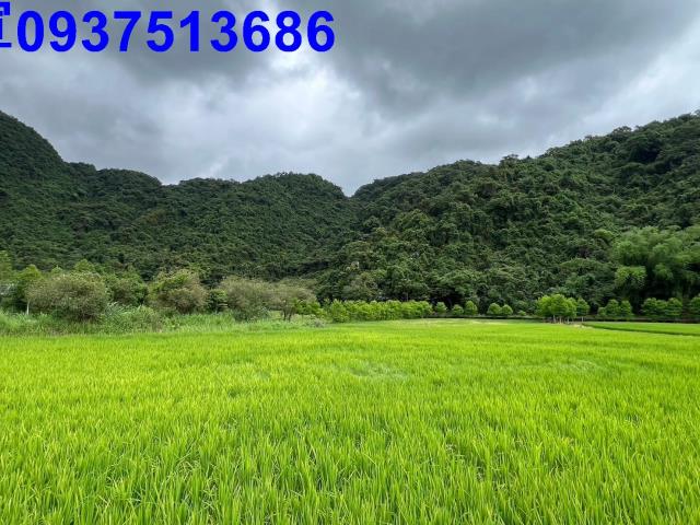 員山農地-3