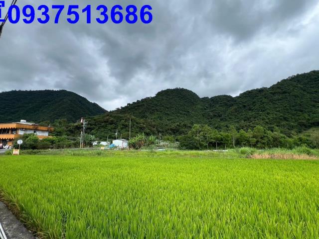 員山農地-8