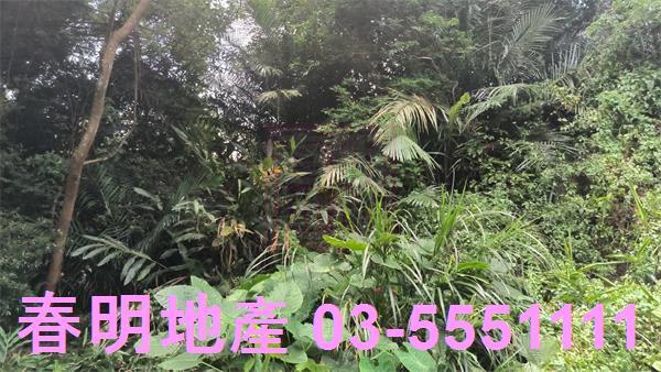 關西農地-4