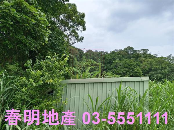 新竹橫山農地-11
