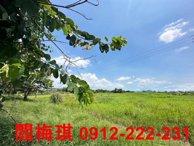 台南永康農地-1