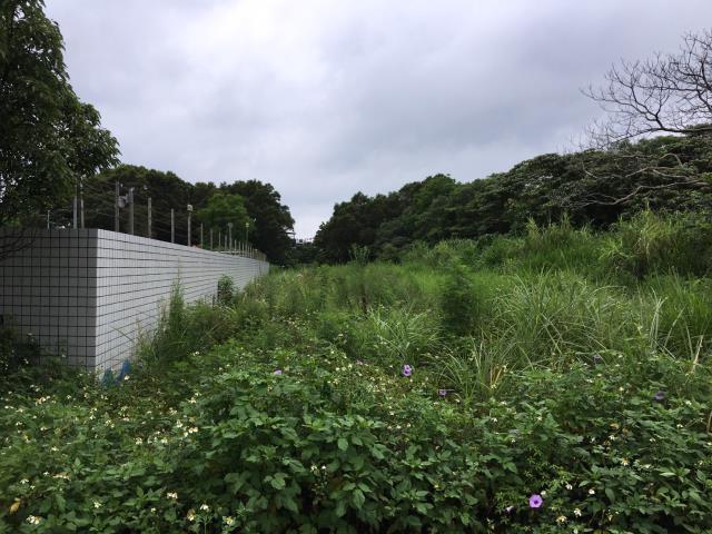 桃園工業地-3