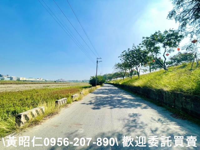 台南仁德農地-6
