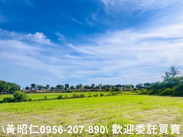 台南仁德農地-2