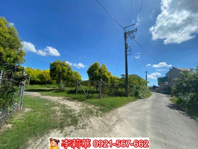 六甲農地-6