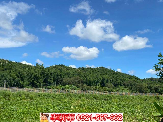 六甲農地-11