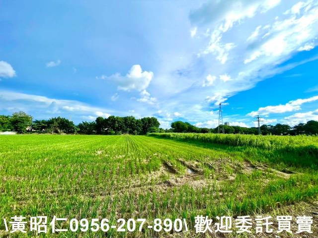 善化農地-4