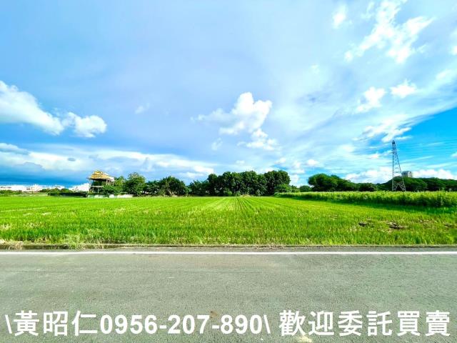 善化農地-0