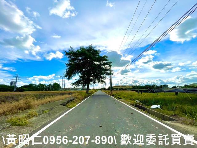 善化農地-5