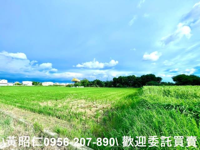 善化農地-6