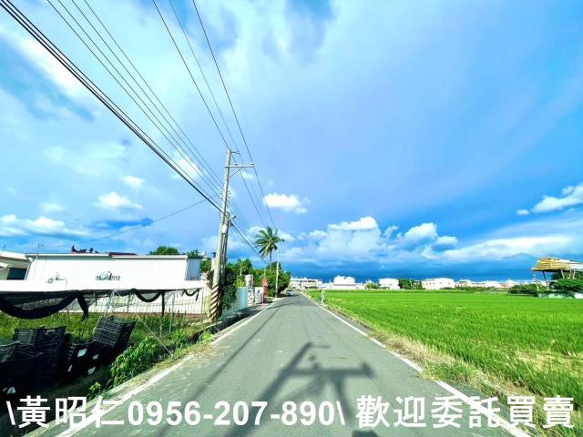 善化農地-7