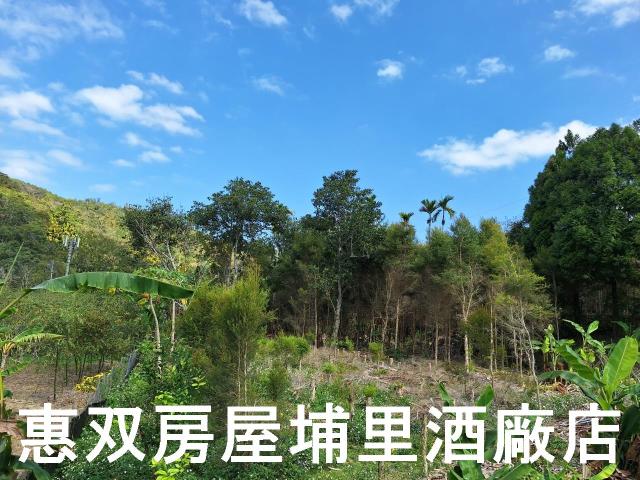 魚池農地-4