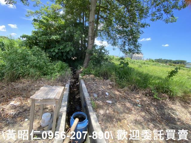 佳里農地-11