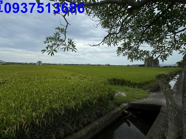 宜蘭農地-5