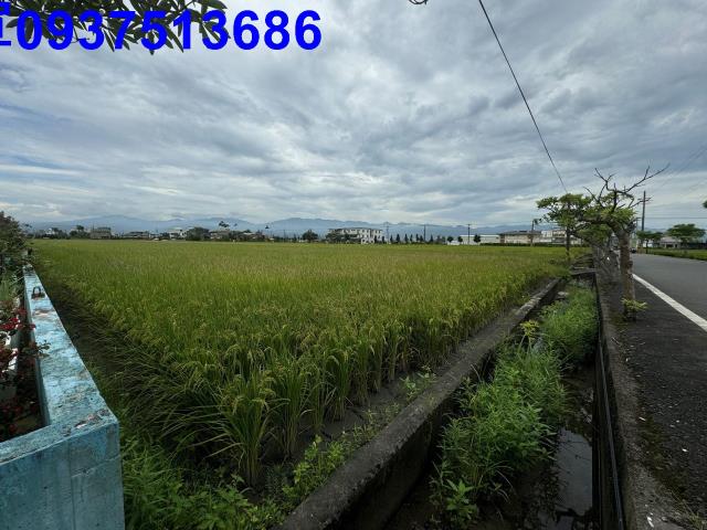 宜蘭農地-6
