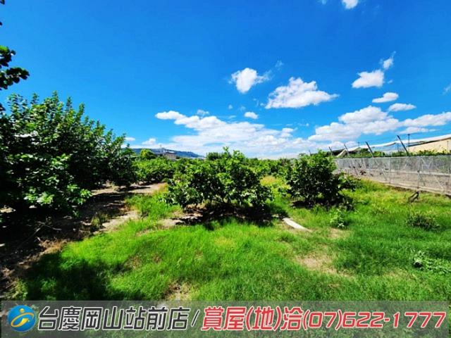 高雄農地-7