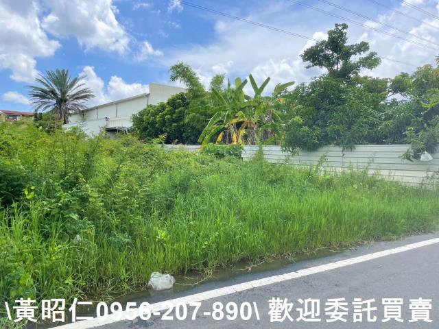 台南仁德農地-9