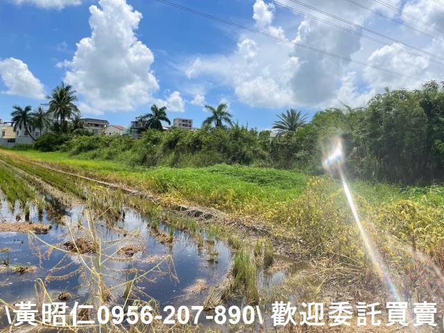 台南仁德農地-4