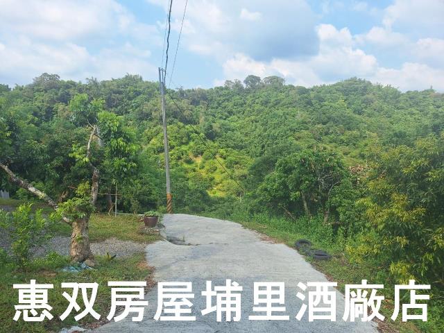 南投市農地-3