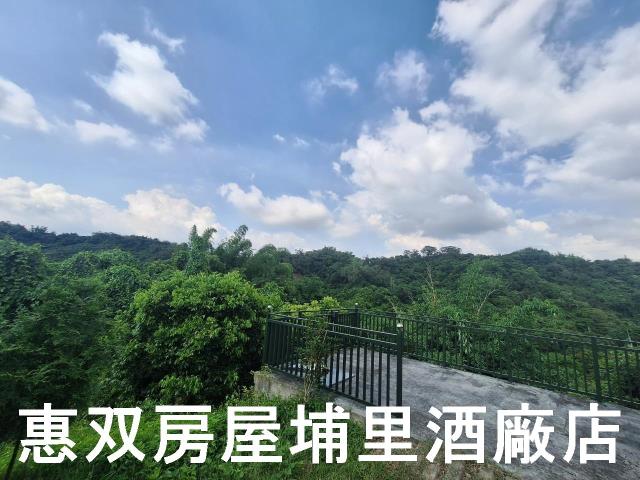 南投市農地-6
