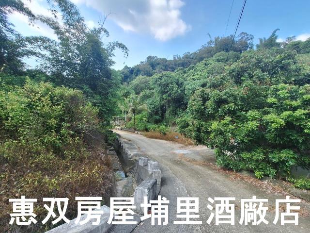 南投市農地-7