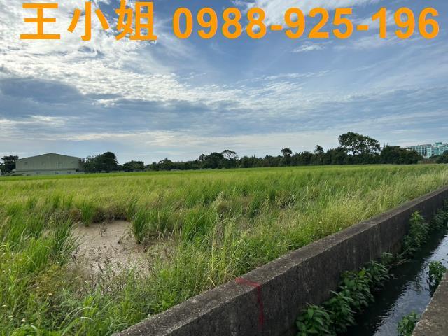 桃園新屋農地-0