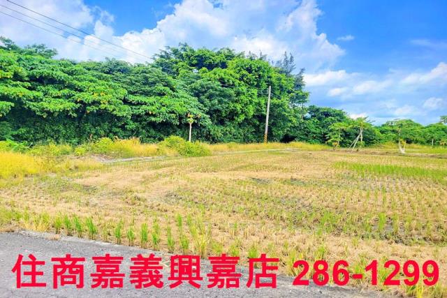 民雄農地-4
