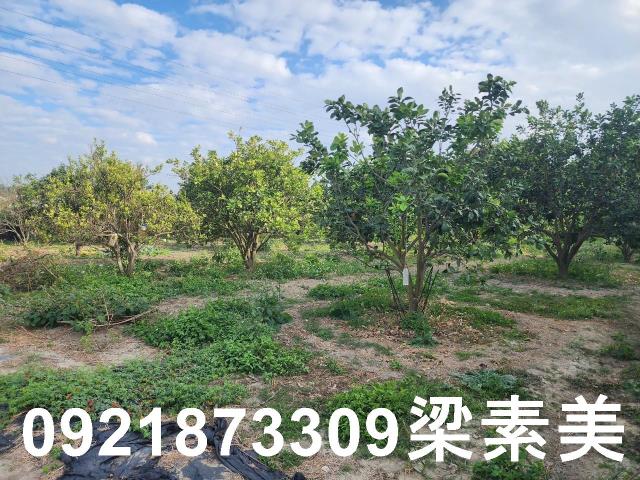 台南麻豆工業地-1