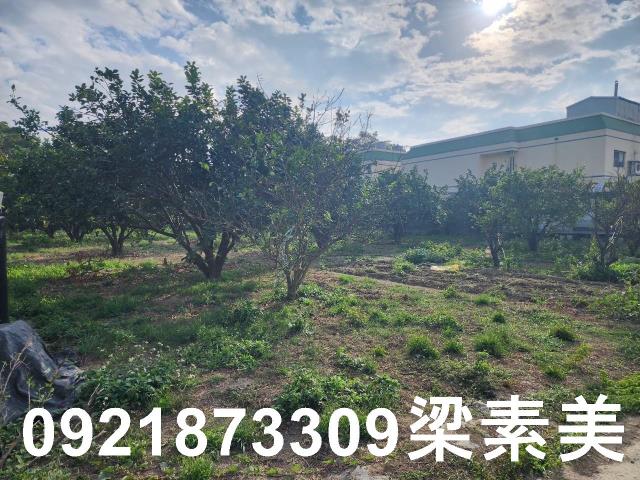 台南麻豆工業地-5