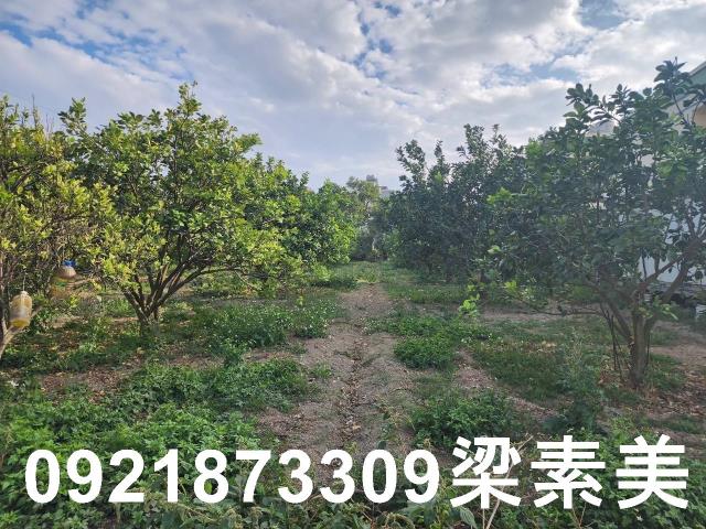 台南麻豆工業地-6