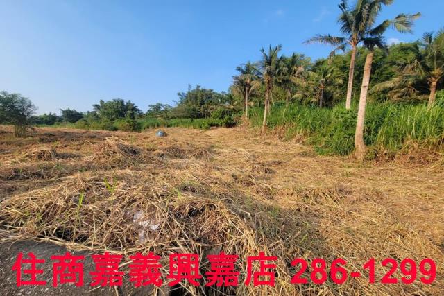 嘉義農地-7