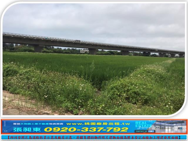 桃園農地-1