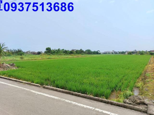 宜蘭農地-5