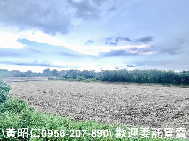 台南六甲農地-3