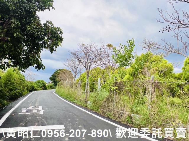 台南六甲農地-5