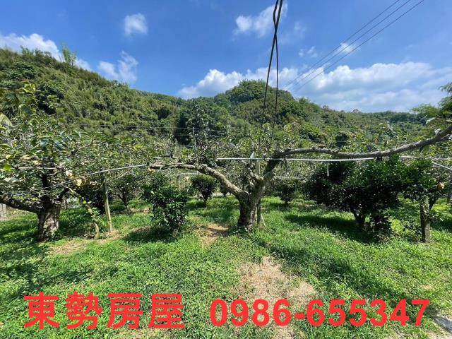 台中東勢農地-0