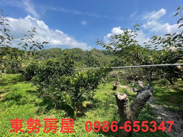 台中東勢農地-8