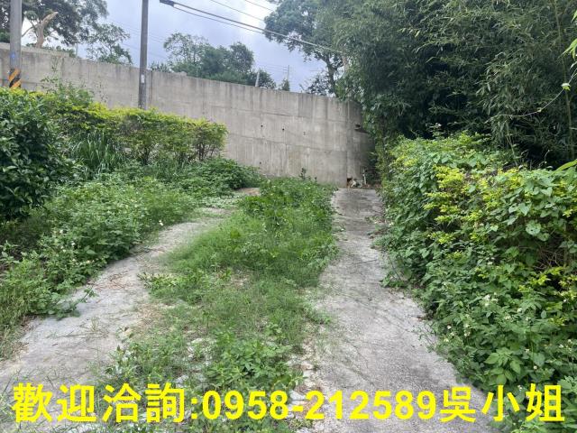 新竹新埔山坡地-9