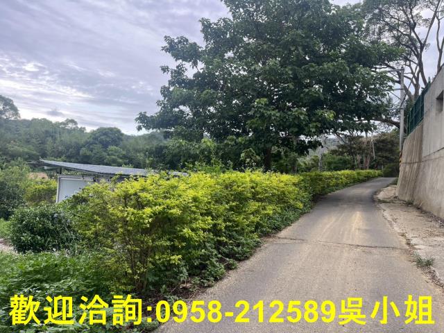 新竹新埔山坡地-11