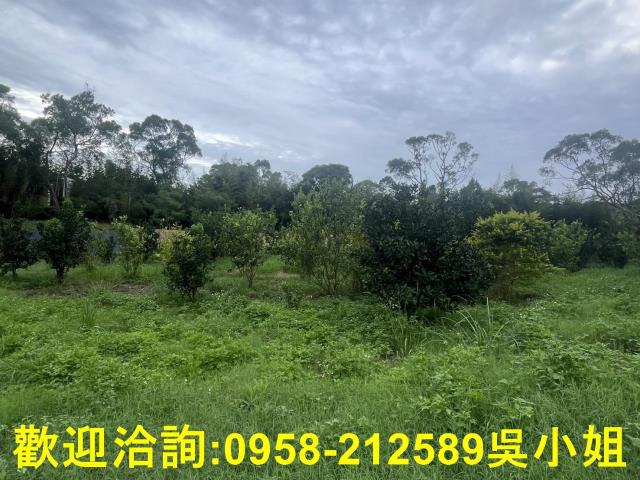 新竹新埔山坡地-5