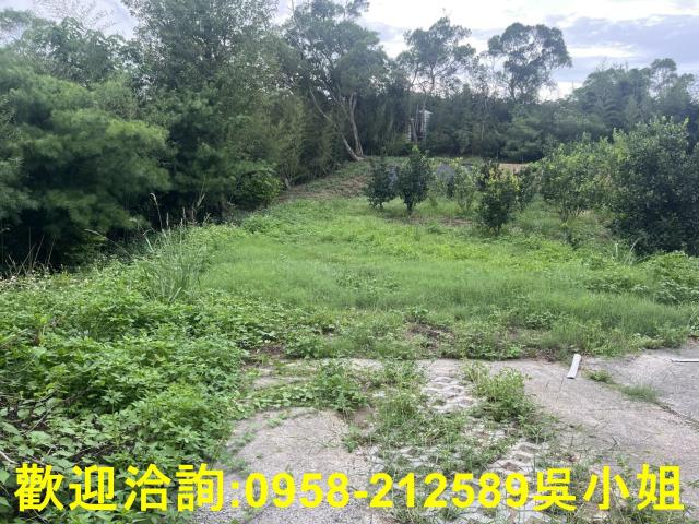 新竹新埔山坡地-6