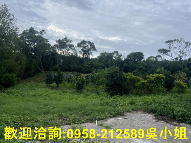 新竹新埔山坡地-7