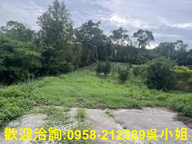 新竹新埔山坡地-8