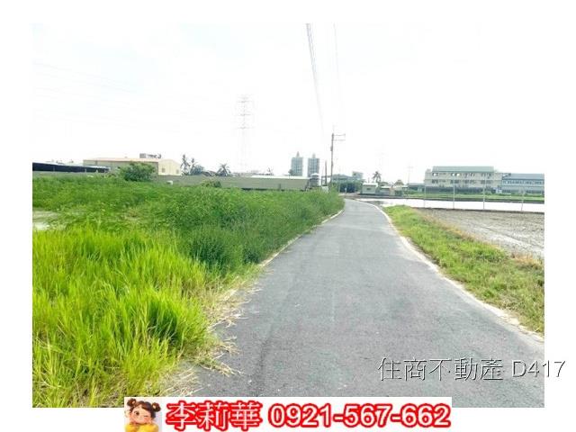 台南仁德農地-5