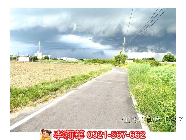 台南仁德農地-6