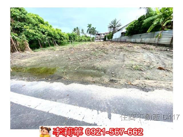 台南仁德農地-8
